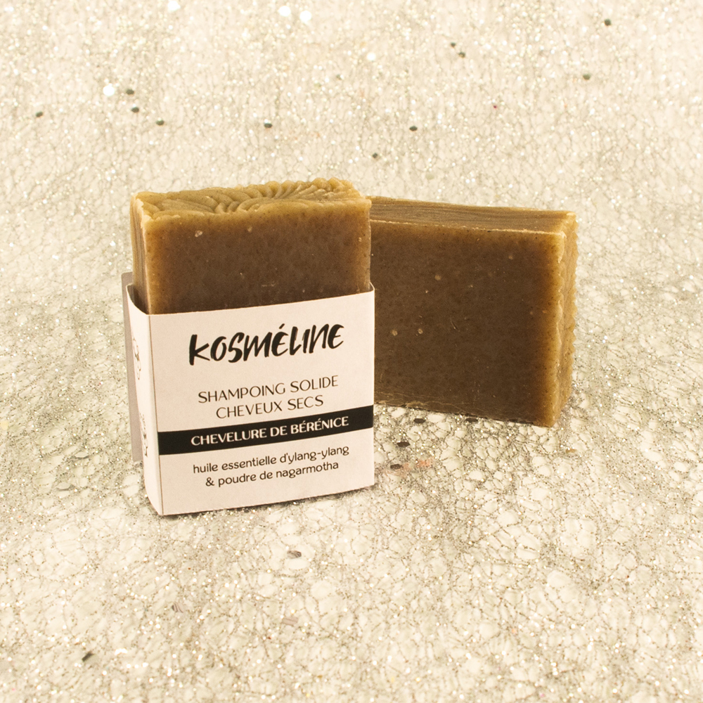 Chevelure de Bérénice