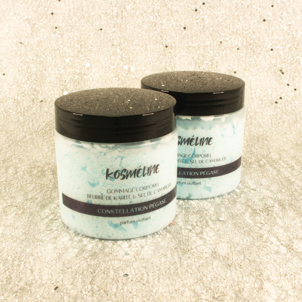 Constellation Pégase